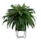 2.5ft. Boston Fern in Patina Metal Planter with Stand
